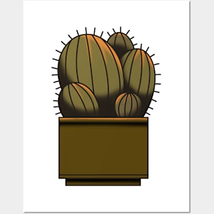 cacti Posters and Art